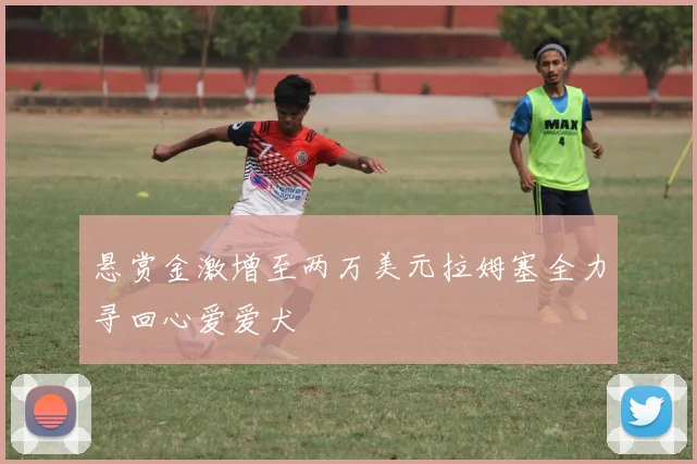 悬赏金激增至两万美元拉姆塞全力寻回心爱爱犬