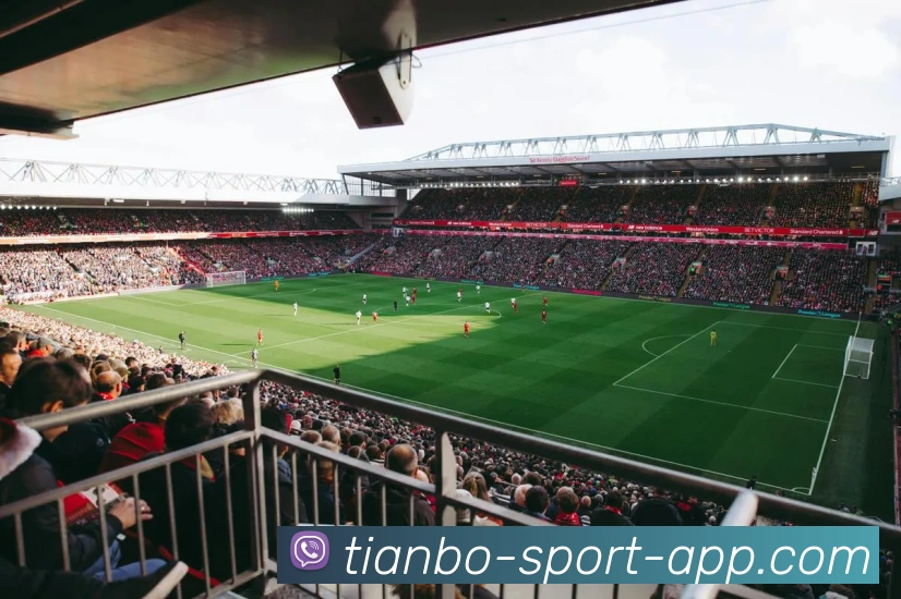 天博体育APP 封面图